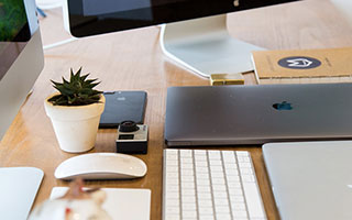 如何在imToken里快速参与项目？先确认主网和安全再投